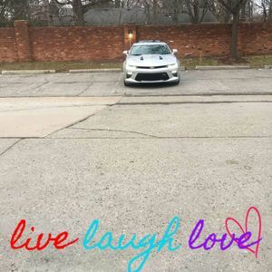 Meet your Posher, Bernard